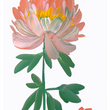 Load image into Gallery viewer, Peony Bloom