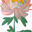 Load image into Gallery viewer, Peony Bloom