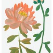 Load image into Gallery viewer, Blossoming Peony