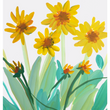 Load image into Gallery viewer, Mules Ears 3