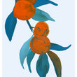 Load image into Gallery viewer, Summer Citrus
