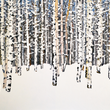Load image into Gallery viewer, Winter Aspen Trees