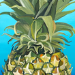 Load image into Gallery viewer, Blue Beach Pineapple