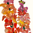 Load image into Gallery viewer, Imaginative Wildflowers