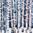 Load image into Gallery viewer, Winter Aspens 1