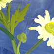 Load image into Gallery viewer, Mountain Daisies on Blue