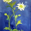 Load image into Gallery viewer, Mountain Daisies on Blue