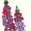 Load image into Gallery viewer, Red Wildflowers