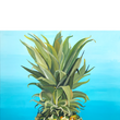 Load image into Gallery viewer, Blue Beach Pineapple