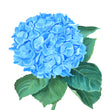 Load image into Gallery viewer, Hydrangea Stem