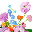 Load image into Gallery viewer, Flower Field