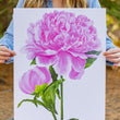 Load image into Gallery viewer, Peony