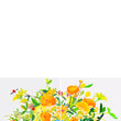 Load image into Gallery viewer, Citrus Diptych