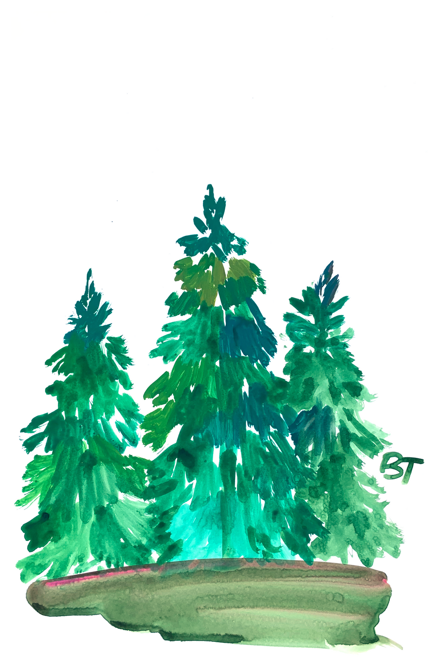 Whispers of the Pines