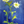 Load image into Gallery viewer, Mountain Daisies on Blue
