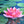 Load image into Gallery viewer, Lotus
