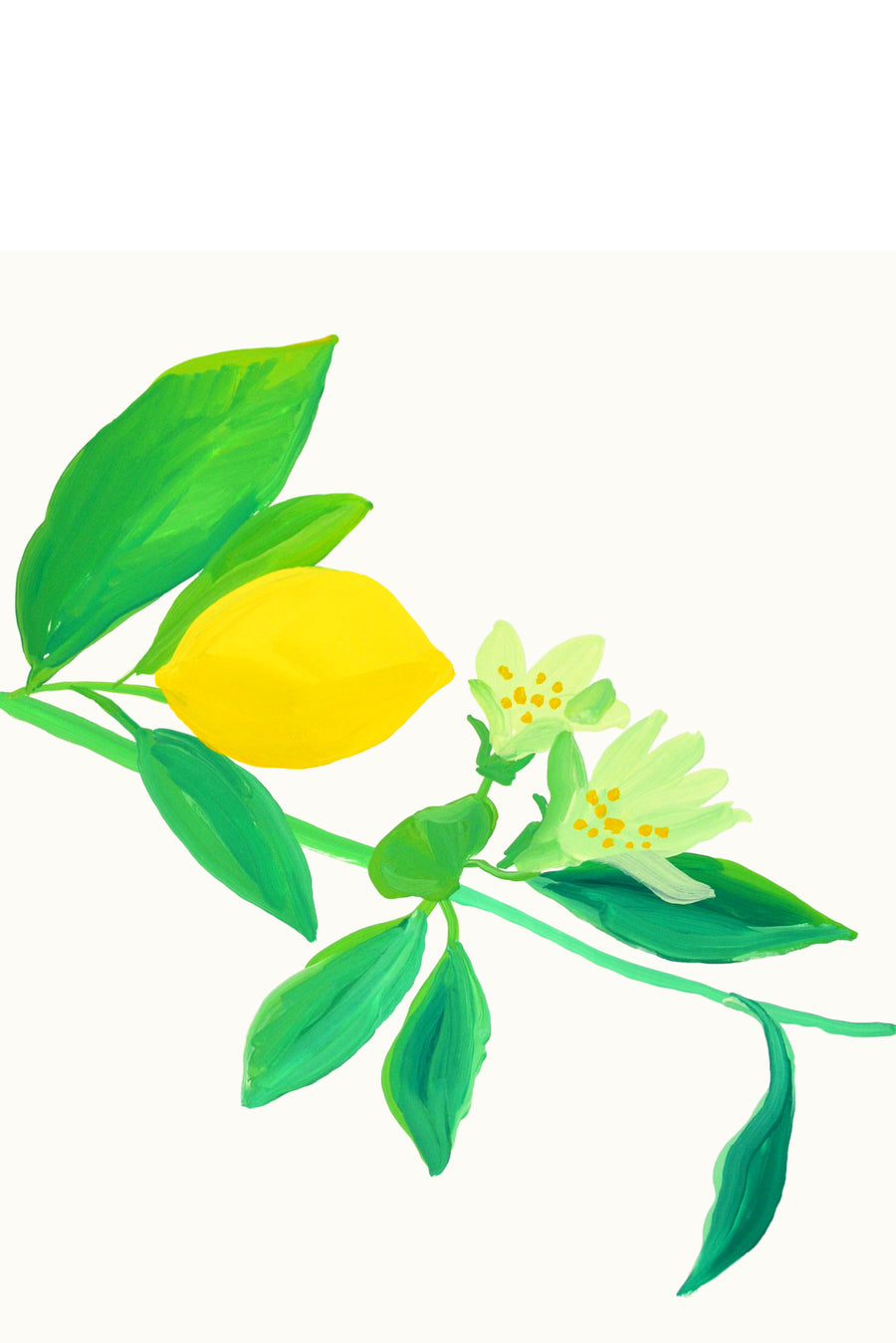 Lemon Study 2