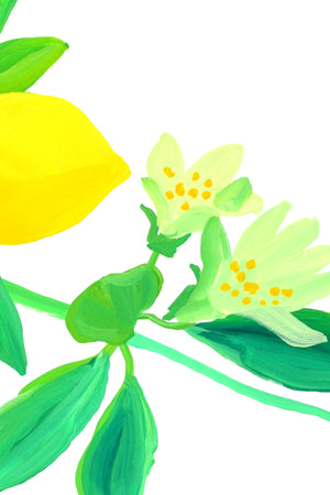 Lemon Study 2