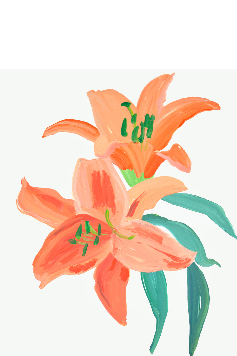Coral Lilies