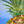 Load image into Gallery viewer, Ocean Pineapple
