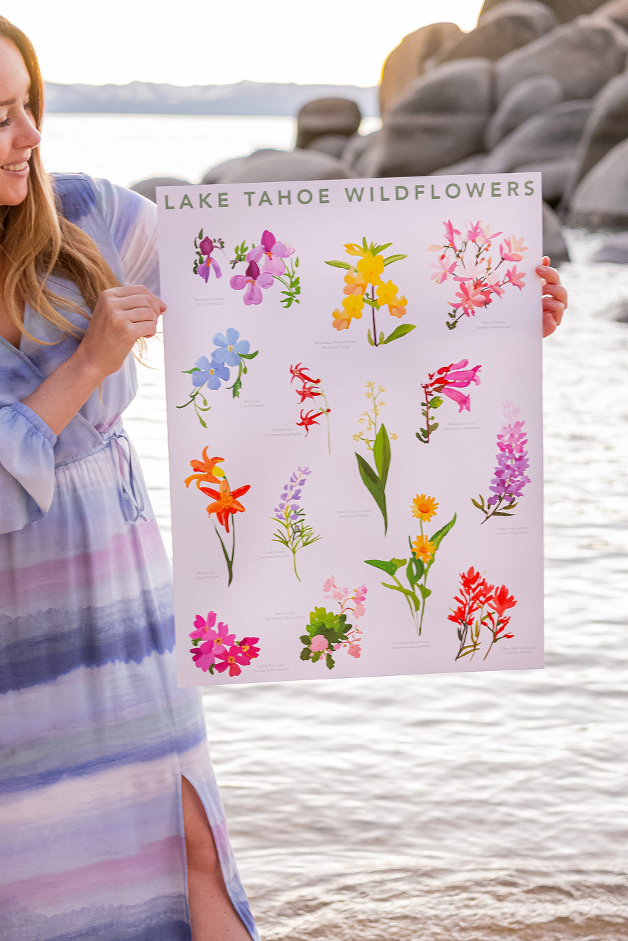 Lake Tahoe Wildflowers